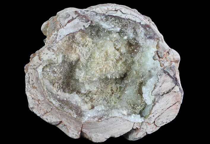 Bargain, 4.1" Crystal Filled Dugway Geode (Polished Half)